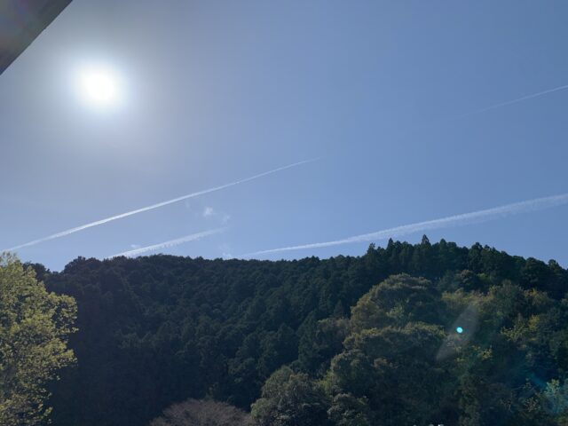 現在の画像に代替テキストがありません。ファイル名: img_8588-scaled.jpg